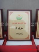 北京京藝鑫廣告公司 專業廣告發布，產品相冊圖片打造卓越視覺體驗